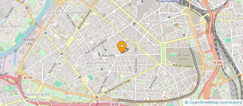 localisation de l'entreprise MONSIEUR MOHAMED CAMARA à LILLE