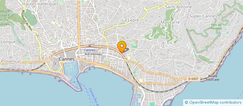 localisation de l'entreprise MONSIEUR MOHAMED CAMARA  CANNES