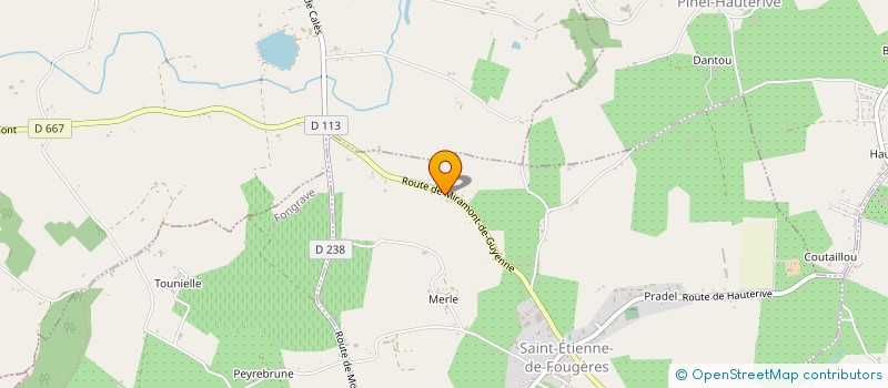 localisation de l'entreprise MONSIEUR MOHAMED CHENOUFI  SAINT-ETIENNE-DE-FOUGERES