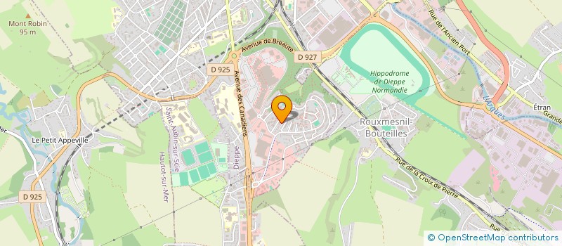 localisation de l'entreprise MONSIEUR MOHAMED CHOUIKH à DIEPPE