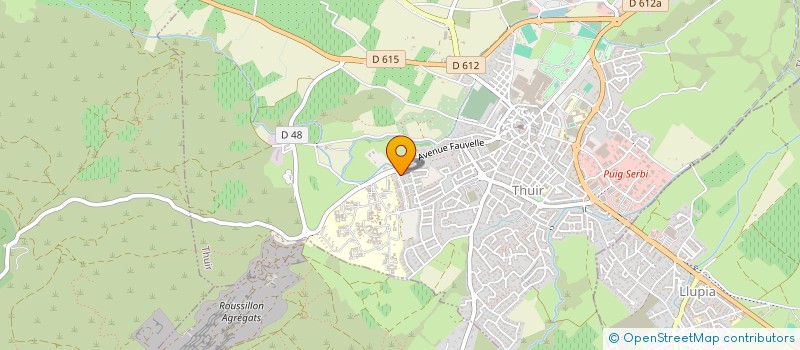 localisation de l'entreprise MONSIEUR MOHAMED DAMERGI  THUIR