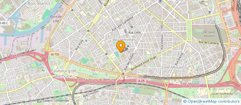 localisation de l'entreprise MONSIEUR MOHAMED DIABY à LILLE