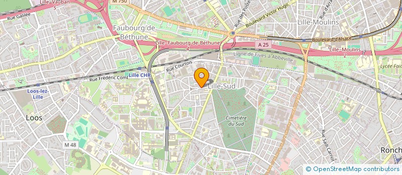 localisation de l'entreprise MONSIEUR MOHAMED DIOULDE à LILLE