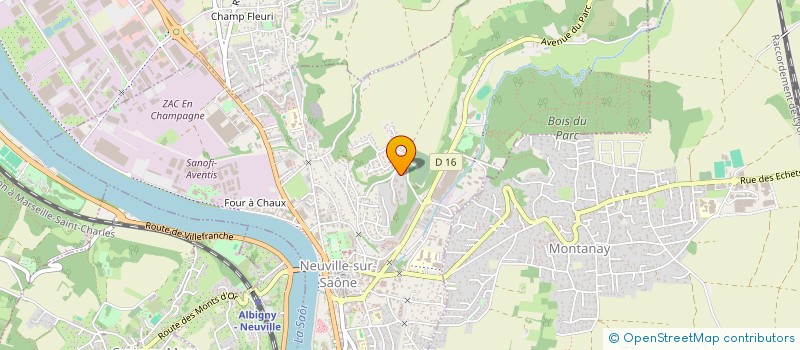 localisation de l'entreprise MONSIEUR MOHAMED DJEGHDALI  NEUVILLE-SUR-SAONE