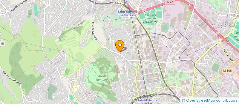 localisation de l'entreprise MONSIEUR MOHAMED DJOUHRI  SAINT-ETIENNE