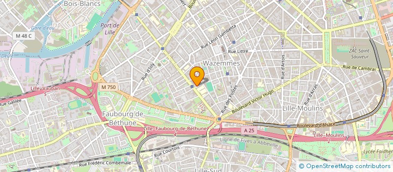 localisation de l'entreprise MONSIEUR MOHAMED DOUKOURE à LILLE