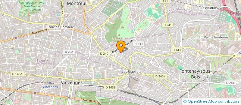 localisation de l'entreprise MONSIEUR MOHAMED DRISSI KAMILI à FONTENAY-SOUS-BOIS