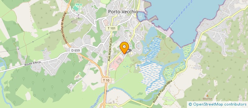 localisation de l'entreprise MONSIEUR MOHAMED EL JAGHNOUNI  PORTO-VECCHIO