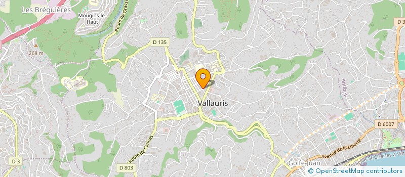 localisation de l'entreprise MONSIEUR MOHAMED ELOUAER à VALLAURIS