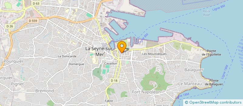 localisation de l'entreprise MONSIEUR MOHAMED ES-SALHI à LA SEYNE-SUR-MER