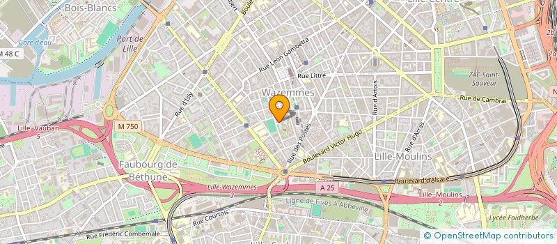localisation de l'entreprise MONSIEUR MOHAMED FOUFANI à LILLE
