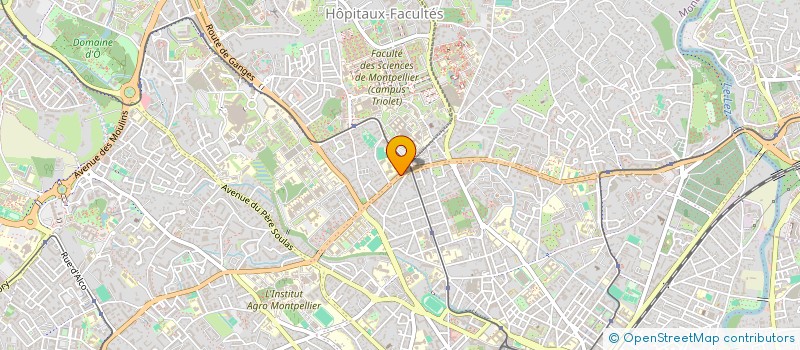 localisation de l'entreprise MONSIEUR MOHAMED HADDOUTI à MONTPELLIER