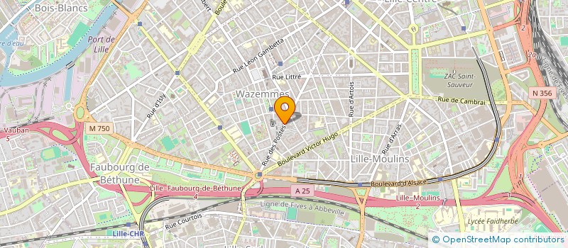 localisation de l'entreprise MONSIEUR MOHAMED HALI à LILLE