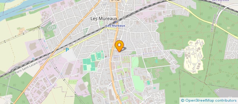 localisation de l'entreprise MONSIEUR MOHAMED HALIMA SALEM à LES MUREAUX
