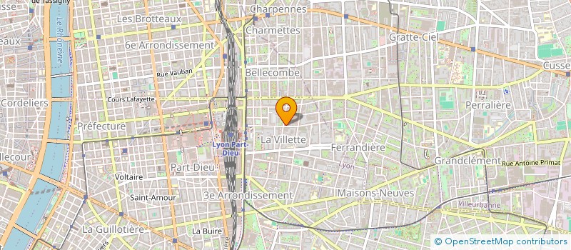 localisation de l'entreprise MONSIEUR MOHAMED HAMIDOU  LYON