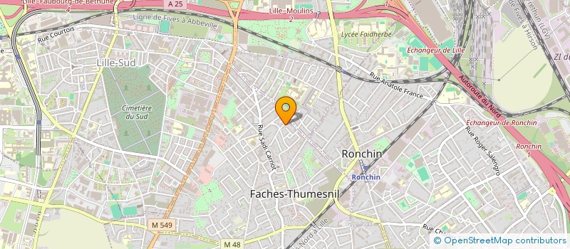 localisation de l'entreprise MONSIEUR MOHAMED HAMMOUCHI  FACHES-THUMESNIL