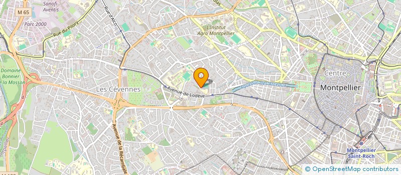 localisation de l'entreprise MONSIEUR MOHAMED HASSANI à MONTPELLIER