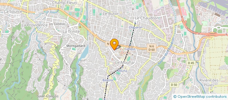 localisation de l'entreprise MONSIEUR MOHAMED HASSANI CHAMASSI  SAINT-DENIS