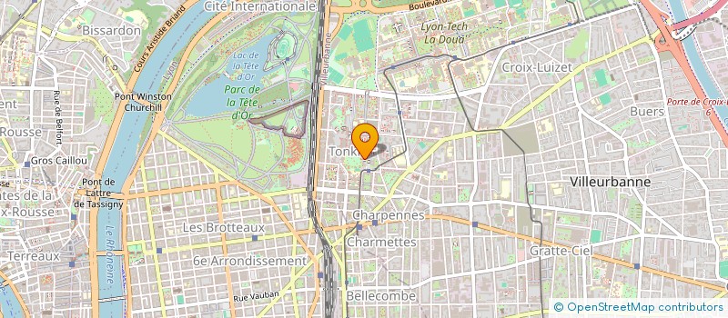 localisation de l'entreprise MONSIEUR MOHAMED HEDIA  VILLEURBANNE