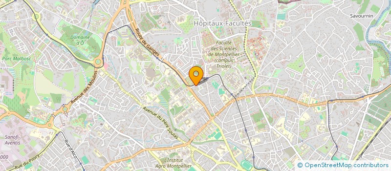 localisation de l'entreprise MONSIEUR MOHAMED HLIOUA à MONTPELLIER