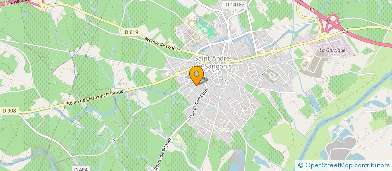 localisation de l'entreprise MONSIEUR MOHAMED IKKOU  SAINT-ANDRE-DE-SANGONIS