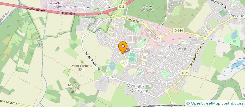 localisation de l'entreprise MONSIEUR MOHAMED IRIOUT  MONTIGNY-EN-OSTREVENT