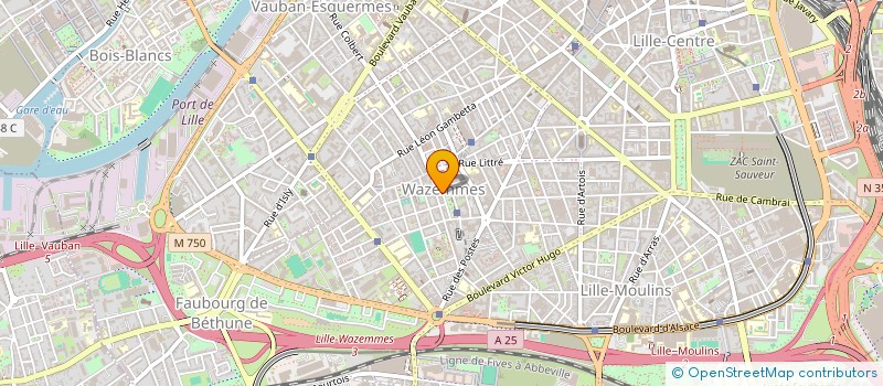 localisation de l'entreprise MONSIEUR MOHAMED KAISSOUNI à LILLE