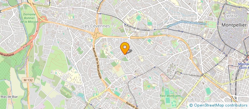 localisation de l'entreprise MONSIEUR MOHAMED KAOUSSI à MONTPELLIER