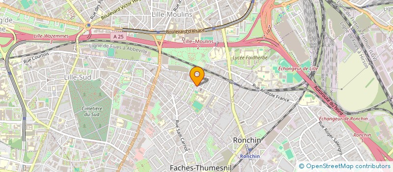 localisation de l'entreprise MONSIEUR MOHAMED KASSIMI  FACHES-THUMESNIL