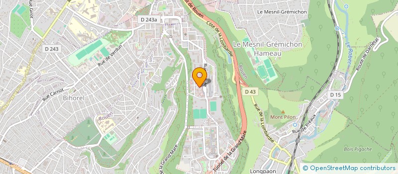 localisation de l'entreprise MONSIEUR MOHAMED LAMINE DIABY  ROUEN