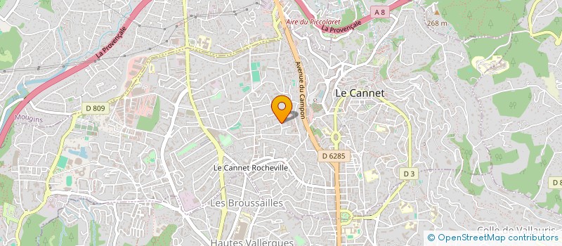 localisation de l'entreprise MONSIEUR MOHAMED LOUDHAIEF à LE CANNET