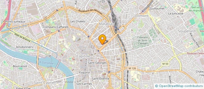 localisation de l'entreprise MONSIEUR MOHAMED MAHIEDDINI à TOULOUSE