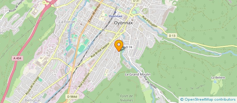 localisation de l'entreprise MONSIEUR MOHAMED MAHMOU à OYONNAX
