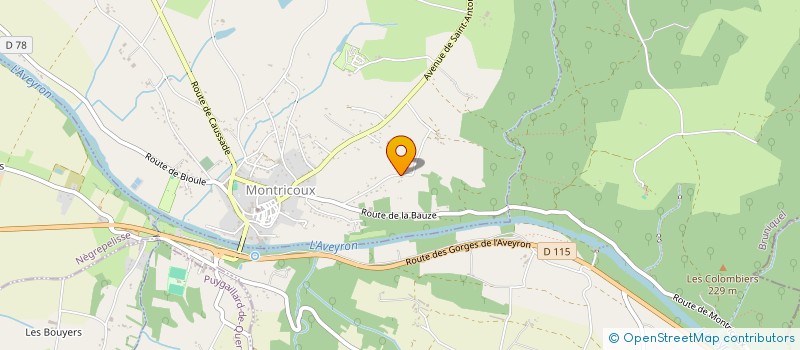 localisation de l'entreprise MONSIEUR MOHAMED MEDDI  MONTRICOUX