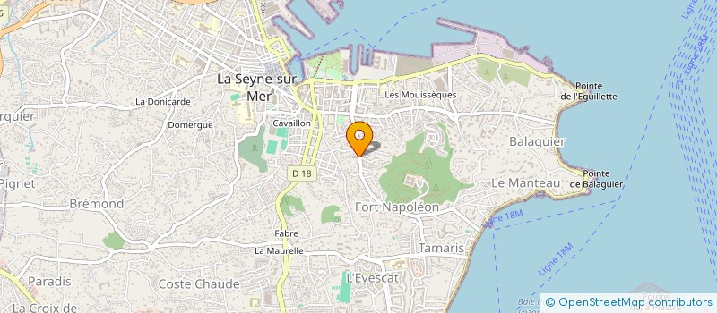 localisation de l'entreprise MONSIEUR MOHAMED MESSAOUDI à LA SEYNE-SUR-MER