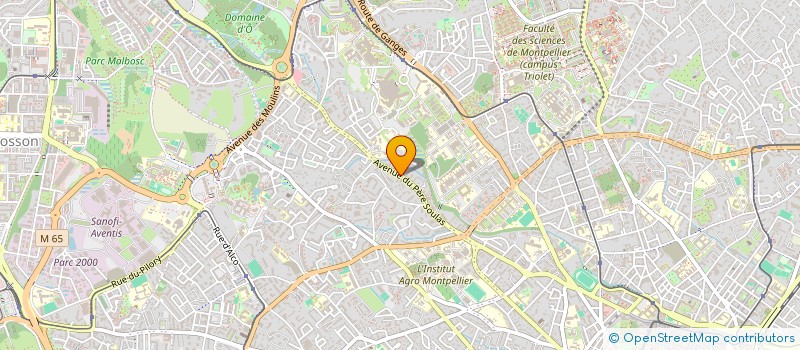 localisation de l'entreprise MONSIEUR MOHAMED METININE à MONTPELLIER