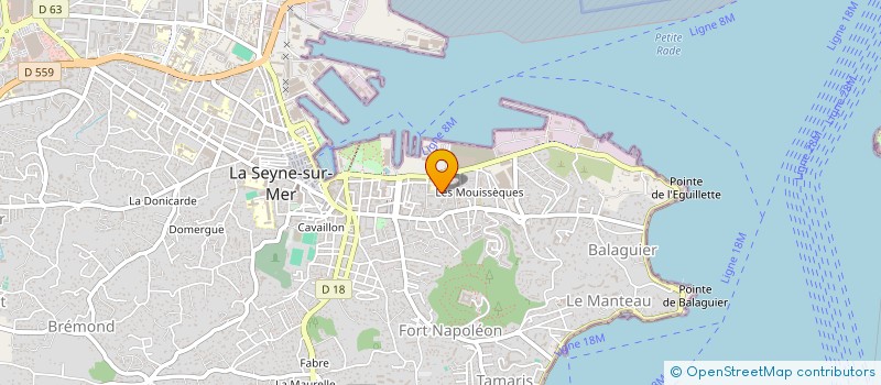 localisation de l'entreprise MONSIEUR MOHAMED MOUALHI à LA SEYNE-SUR-MER