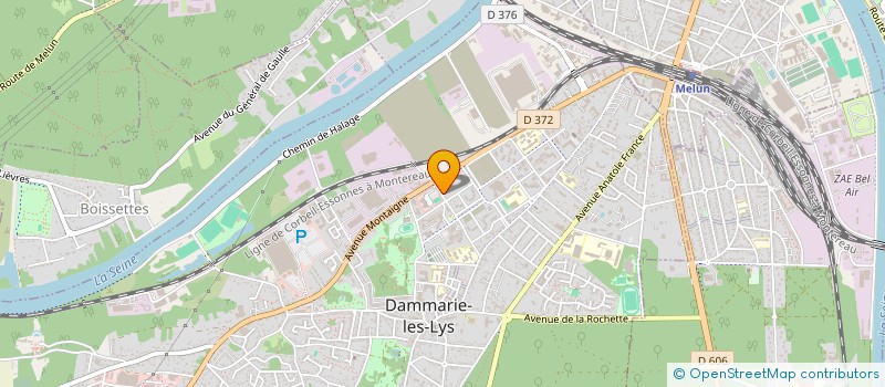 localisation de l'entreprise MONSIEUR MOHAMED OSMAN à DAMMARIE-LES-LYS