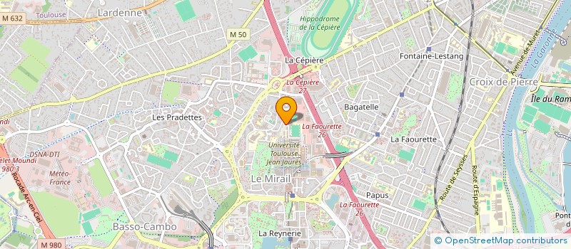 localisation de l'entreprise MONSIEUR MOHAMED RAOUNANE  TOULOUSE