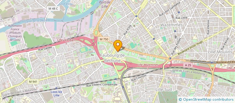 localisation de l'entreprise MONSIEUR MOHAMED SAHLI à LILLE
