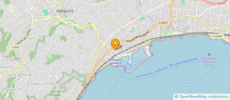 localisation de l'entreprise MONSIEUR MOHAMED SAHRAOUI  VALLAURIS