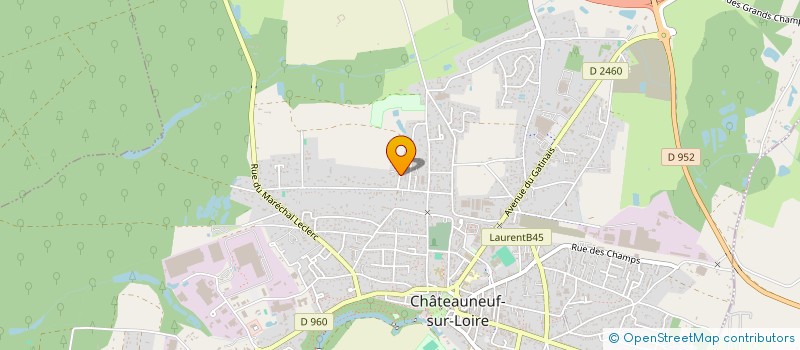 localisation de l'entreprise MONSIEUR MOHAMED SAID SARIE à CHATEAUNEUF-SUR-LOIRE