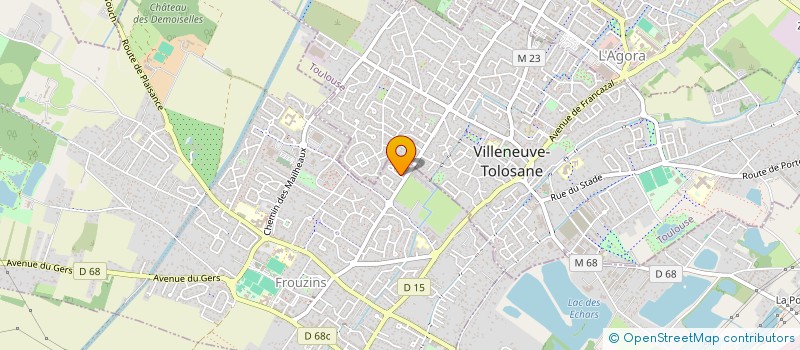 localisation de l'entreprise MONSIEUR MOHAMED SAIDANI  FROUZINS