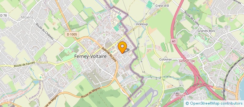 localisation de l'entreprise MONSIEUR MOHAMED SAMIR HAFFOUDHI à FERNEY-VOLTAIRE