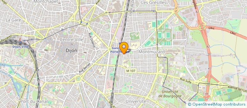 localisation de l'entreprise MONSIEUR MOHAMED-SEGHIR SAHBI  DIJON