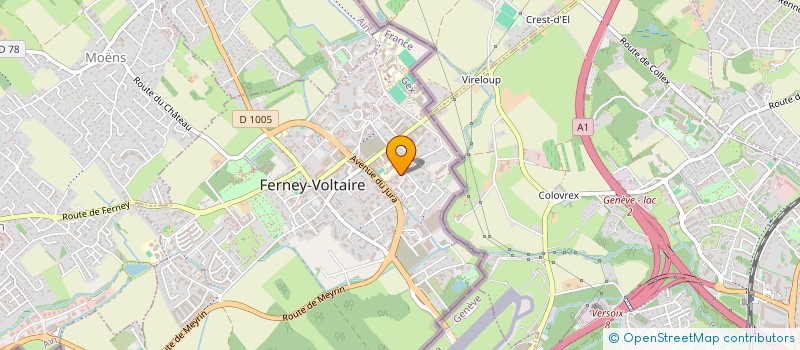 localisation de l'entreprise MONSIEUR MOHAMED TALHAOUI EL MAHDIOUI à FERNEY-VOLTAIRE