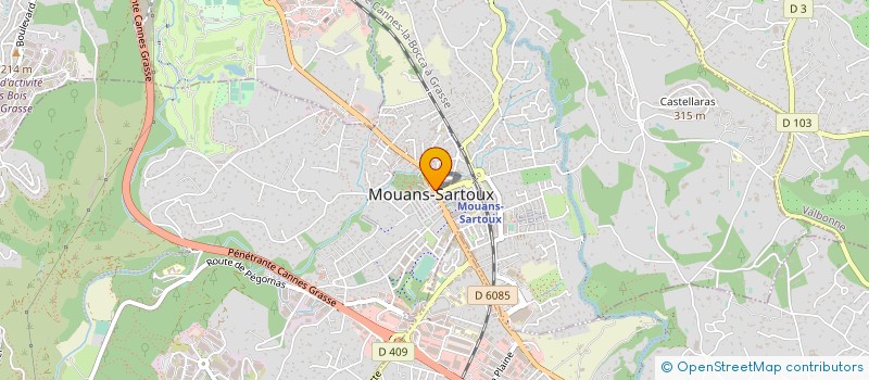 localisation de l'entreprise MONSIEUR MOHAMED TLILI à MOUANS-SARTOUX