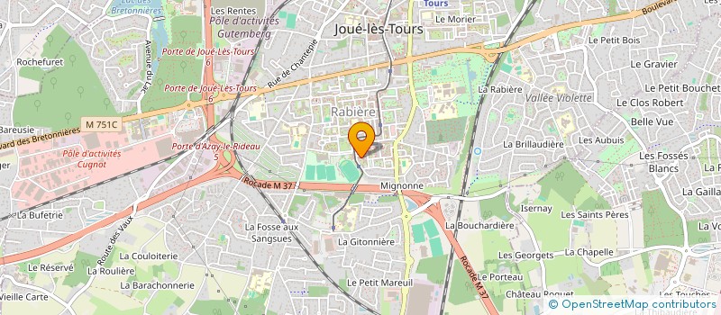 localisation de l'entreprise MONSIEUR MOHAMED WALI  JOUE-LES-TOURS