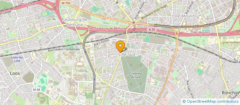 localisation de l'entreprise MONSIEUR MOHAMED ZADI  LILLE