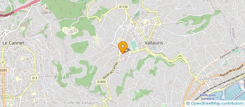 localisation de l'entreprise MONSIEUR MOHAMED ZAROUATI  VALLAURIS